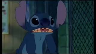 Stitch says hi