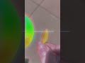 the audio cut off at the end in a way I don’t like 😭😭😭😭 #edit #colorwheel #nature #animated