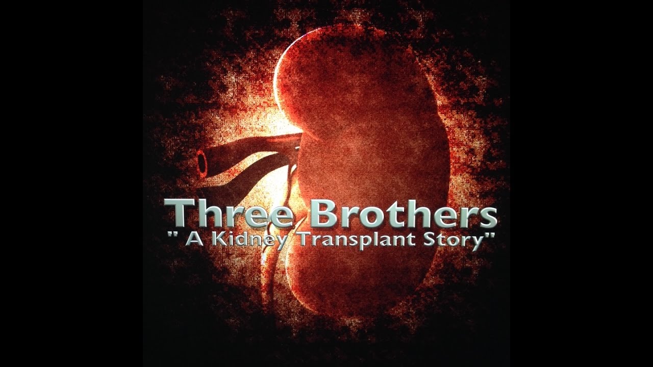 Three Brothers A kidney transplant story YouTube