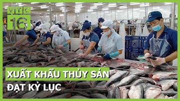 Xuất khẩu thủy sản sắp cán mốc 10 tỷ USD lộ diện 2 mặt hàng "ngôi sao" | VTC16