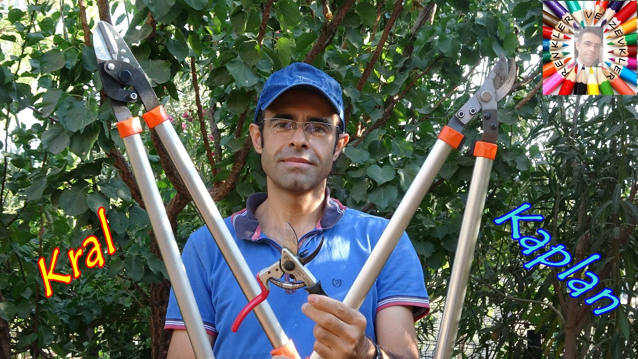 Bu Makaslar Bi Harika Dostum!!! Budamaya Hazırım ✂️