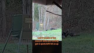 3/3 this last week! #thunderchicken #turkeyhunting #turkeys #turkeyhunt #turkeytail #gobbler #ohio