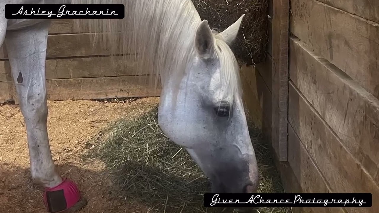 The Great Stoneboro Fair 2022 (PA)