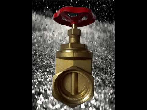 محبس سكينه ايطالى