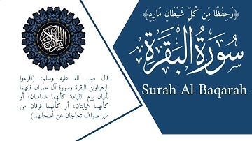 سورة البقره طاردة الشياطين رقية وعلاج للسحر أخذها بركة وتركها حسرة، ولا تستطيعها البطلة | علاء عقل
