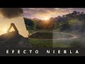 EFECTO NIEBLA
