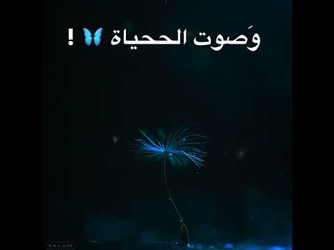 حالات واتس اب اناشيد دينية نشيد دعوني وحيدا أناجي إلهي