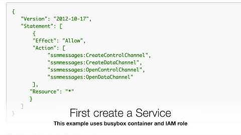 how to perform ecs exec