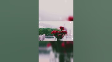 قرآن كريم بصوت الشيخ مشارى راشد العفاسى🤍 ٣٠ ثانيه تشرح صدرك🤍💆 حالات واتس اب دينيه 2021 🤍🎵
