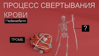 Механизм свертывания крови | 13 факторов | Medanatfarm