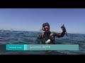 Подводная охота в Азербайджане. Фильм первый
