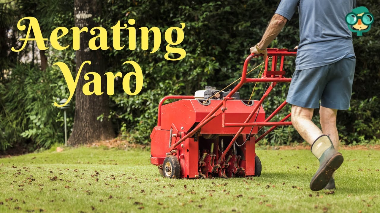 how-to-aerate-a-yard-how-to-aerate-lawn-how-to-do-lawn-aeration-how