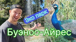 Экопарк Буэнос-Айрес, Аргентина