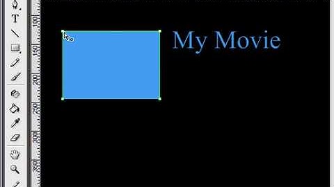 Use the Subselection Tool in Flash CS3