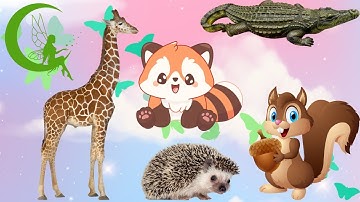 CÙNG BÉ GHÉP HÌNH CÁC CON VẬT | HỌC CÙNG RUBY TV