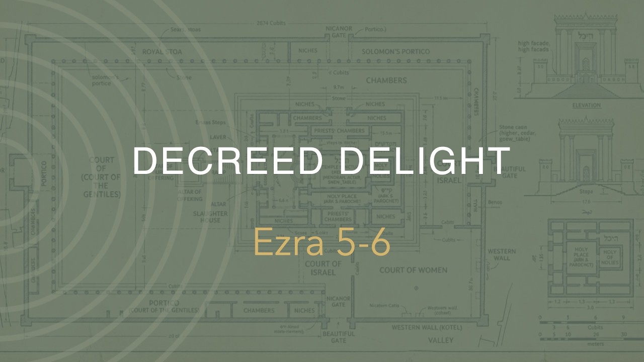 Ezra 5-6 | Decreed Delight
