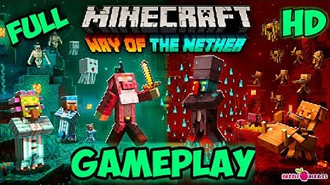 The Way Of The Nether FULL Gameplay | Minecraft