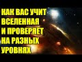 ПРАВИЛО "ТРЁХ СИГНАЛОВ" - КАК ВАС УЧИТ ВСЕЛЕННАЯ!