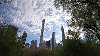 The pond at Central Park
