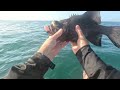 Kayak fishing KZN North coast, GT and Kob