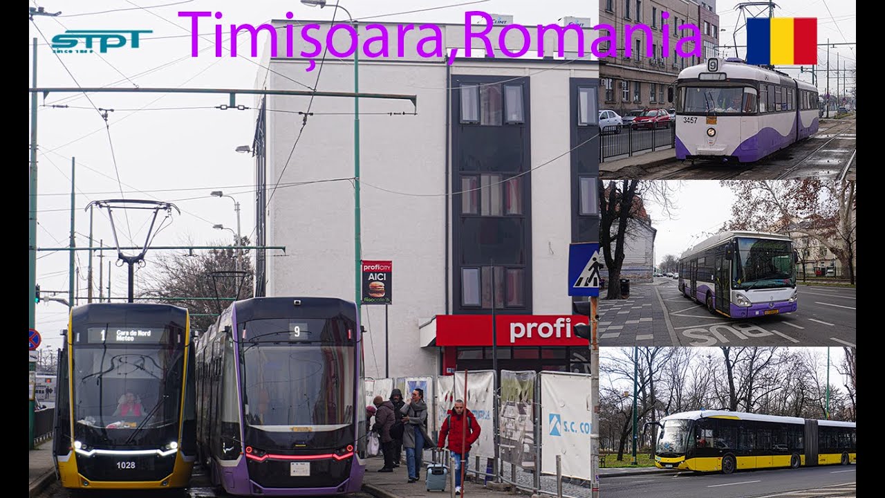 Public transport from Timișoara | December 2024