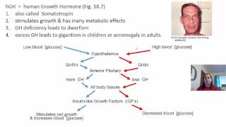 Ch 18   Lecture   Part 2