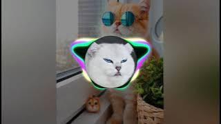 DJ DIMANA KAMU KESAYANGANNYA AKU X PAK CEPAK CEPAK JEDER TIKTOK VIRAL TERBARU 2021 FULL BASS🎵🎶