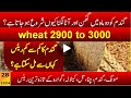 Wheat today  2900 lowest rate  conservation of wheat  wheat price  wheat stock  punjab vs sindh