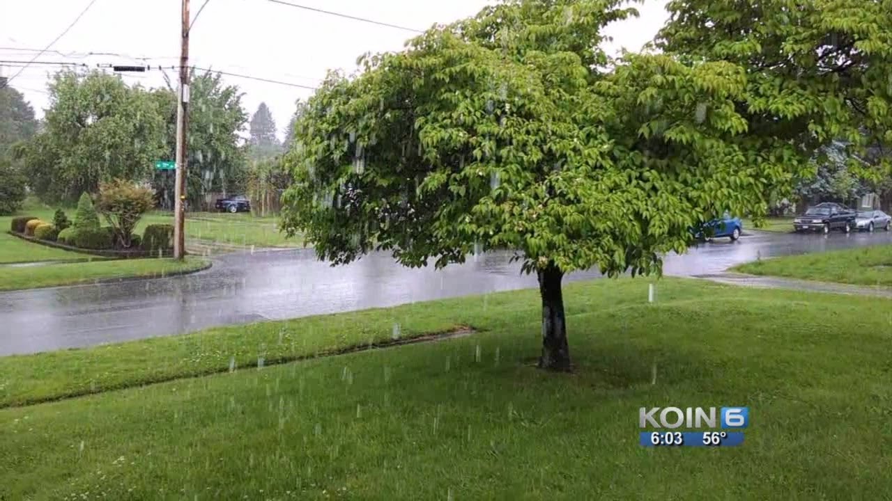 Sunday Storms Bring Thunder Downpours Hail Youtube