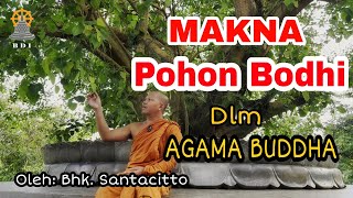 MENGENAL POHON SAKRAL, POHON BODHI DALAM AGAMA BUDDHA I Bhikkhu Santacitto