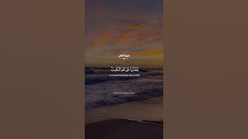 🍃 آية قصيرة من سورة النحل | قرآن يريح القلب | طارق محمد