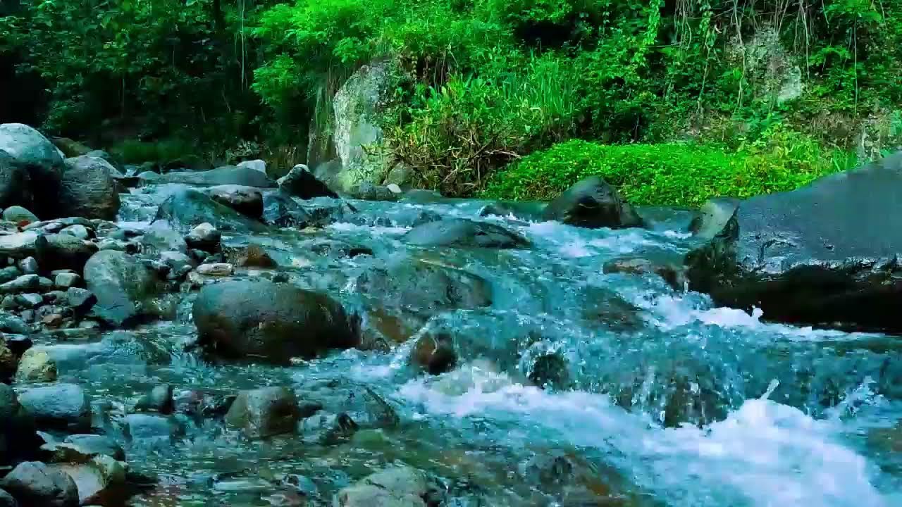 Gentle Stream, Best Relaxing Sounds, White Noise for Sleeping, Calming ASMR