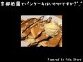 京都祇園でパンケーキはいかがですか?♪