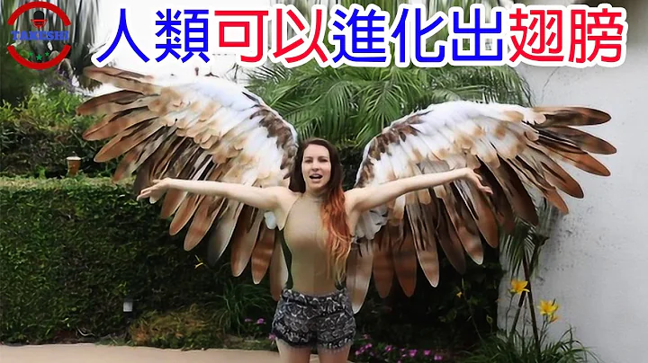 [生物放大镜]人类是有可能长出翅膀的 | 实现人类飞行的恐怖条件 | 真实拥有翅膀的女孩 - 天天要闻