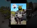 اهليلي اهليلاس جيش نيسا اكسبلور Art 