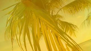 Yellow | Coldplay| Non official visualizer