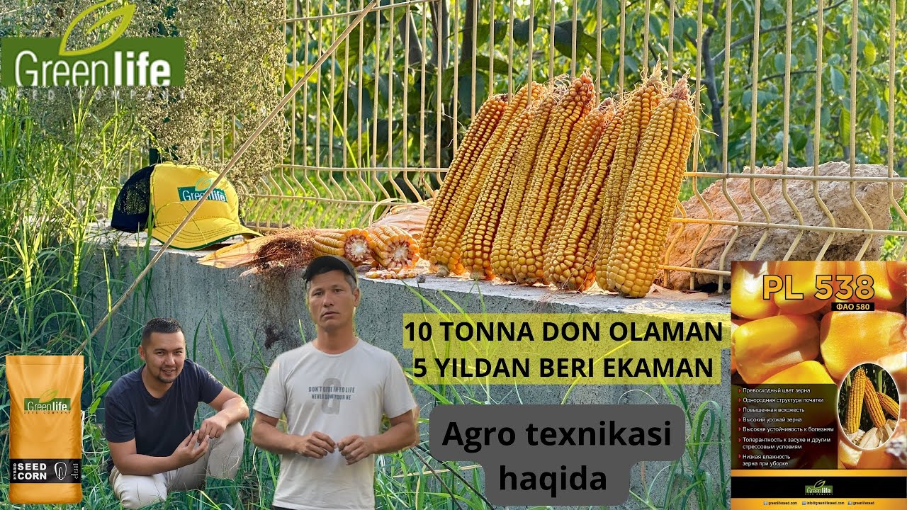 10 TONNA DON TAKRORIYDA VALIJON AKA DALASIDA agrotexnikasini organamiz