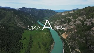 Сила Алтая - тимбилдинг ивент Peak Films production