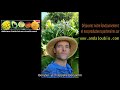 Benja Producteur Bio Cofondateur D Andaloubio Benja Producteur Bio Cofondateur D Andaloubio