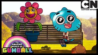 The Flower | Gumball | Cartoon Network