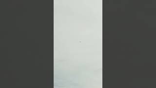 United airlines (Blue Skyway) retro livery flyby