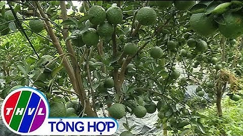 THVL | Thị xã Bình Minh xây dựng nông thôn mới nâng cao