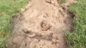 GPRS - Schonstedt GA 52 RESULTS