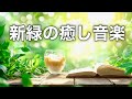 【新緑の森カフェBGM】心がふっと軽くなる、やさしいフルートとハープの癒し音楽|睡眠・作業・読書