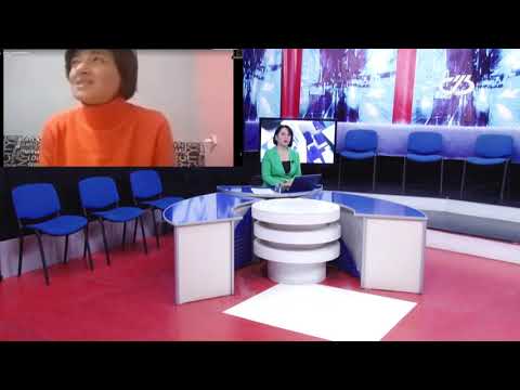 სამოქალაქო აქტივისტები ,,დიალოგში“ სტუმრები: თამთა გოგოლაძე, ნინო გოგოლაშვილი