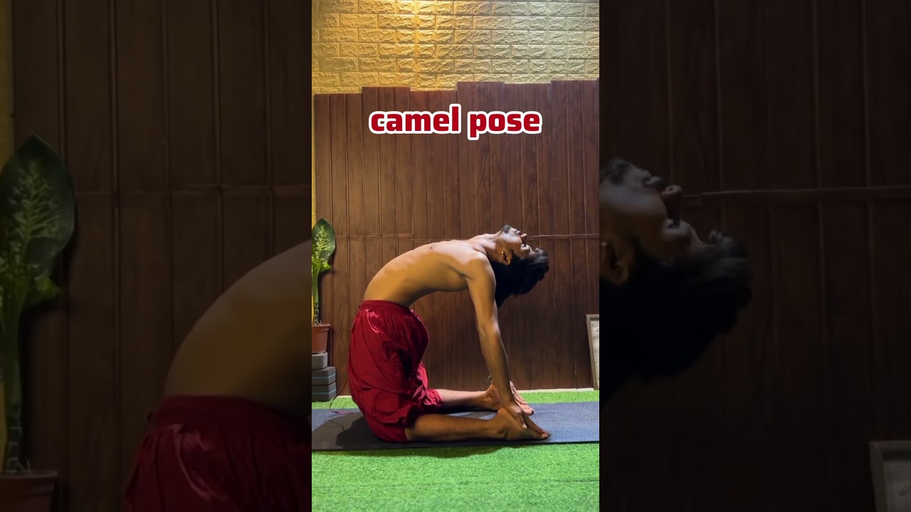 correct your body posture ￼#yoga #short #viral #Fyp #facts