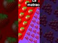 la matraca