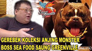 KOLEKSI ANJING MONSTER BOSS SEA FOOD SAUNG GREENVILLE  AMERICAN BULLY TERRIER