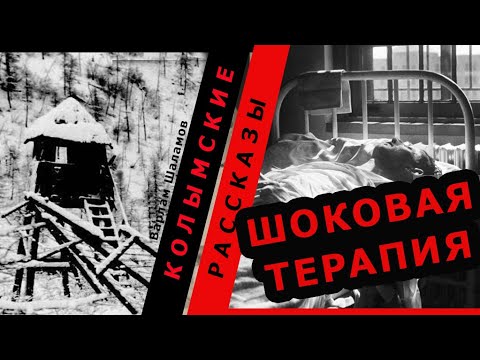 ШОКОВАЯ ТЕРАПИЯ |Варлам Шаламов. Колымские рассказы.