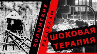 ШОКОВАЯ ТЕРАПИЯ |Варлам Шаламов. Колымские рассказы.